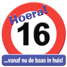 Huldeschild verkeersbord 16 jaar