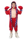 Carnaval Boxer Kids 7-9 jr (120-130 cm)