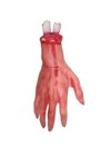 Afgehakte hand met bloed